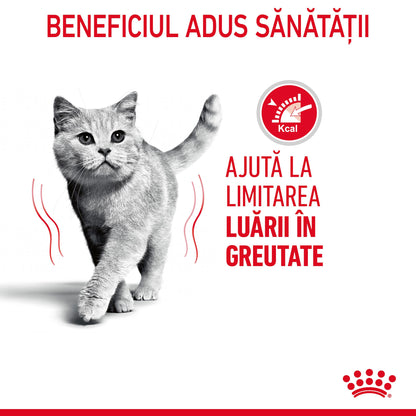 ROYAL CANIN FCN Light Weight Care