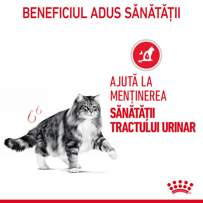 ROYAL CANIN FCN Urinary Care