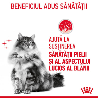ROYAL CANIN FCN Hair & Skin Care