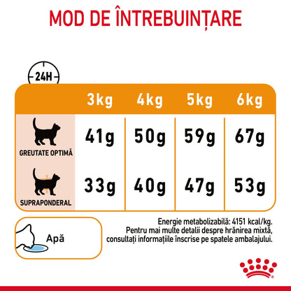 ROYAL CANIN FCN Hair & Skin Care