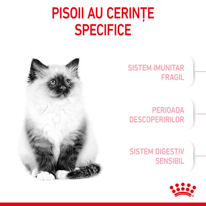 ROYAL CANIN FHN KITTEN