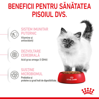 ROYAL CANIN FHN KITTEN