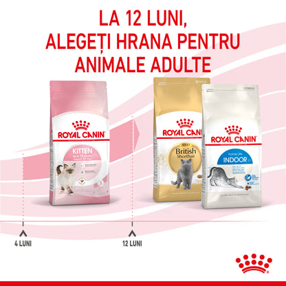 ROYAL CANIN FHN KITTEN