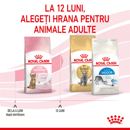 ROYAL CANIN FHN KITTEN Sterilised