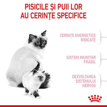 ROYAL CANIN FHN Mother & Babycat (1-4 luni)