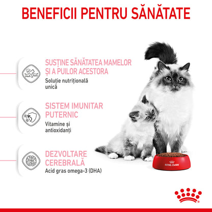 ROYAL CANIN FHN Mother & Babycat (1-4 luni)