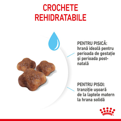 ROYAL CANIN FHN Mother & Babycat (1-4 luni)