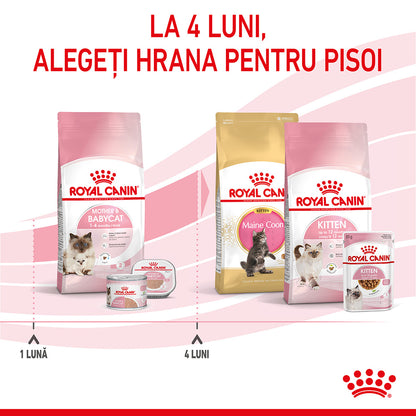 ROYAL CANIN FHN Mother & Babycat (1-4 luni)