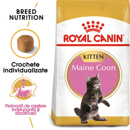 ROYAL CANIN FBN KITTEN Maine coon 2kg
