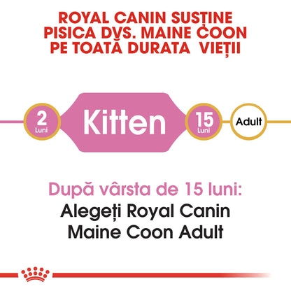 ROYAL CANIN FBN KITTEN Maine coon 2kg