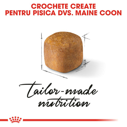 ROYAL CANIN FBN KITTEN Maine coon 2kg