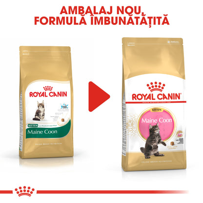 ROYAL CANIN FBN KITTEN Maine coon 2kg