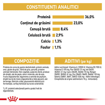 ROYAL CANIN FBN KITTEN Maine coon 2kg