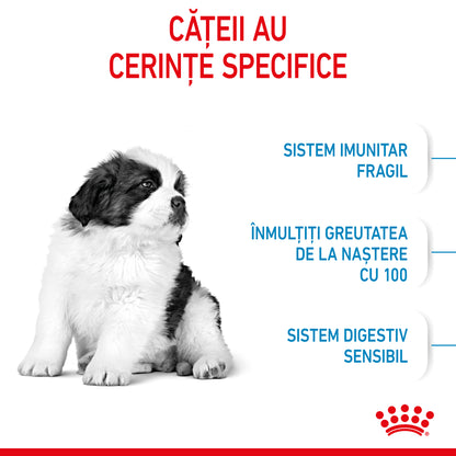 ROYAL CANIN SHN Giant PUPPY (vârsta până la 8 luni)