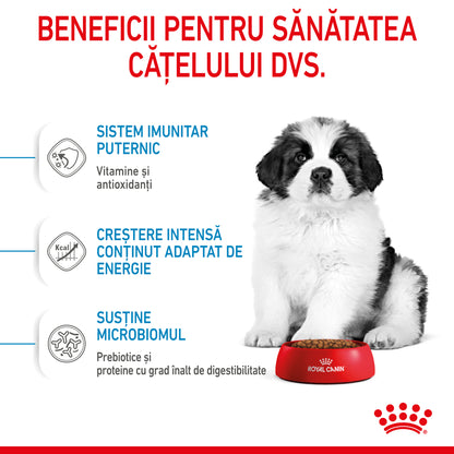 ROYAL CANIN SHN Giant PUPPY (vârsta până la 8 luni)