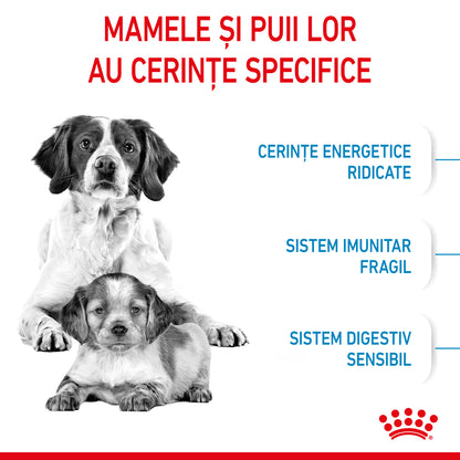 ROYAL CANIN SHN Medium Starter Mother & Baby Dog