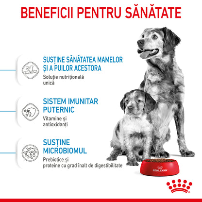 ROYAL CANIN SHN Medium Starter Mother & Baby Dog
