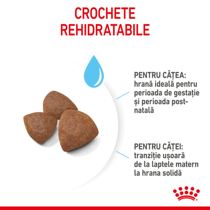 ROYAL CANIN SHN Medium Starter Mother & Baby Dog