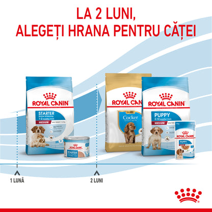 ROYAL CANIN SHN Medium Starter Mother & Baby Dog