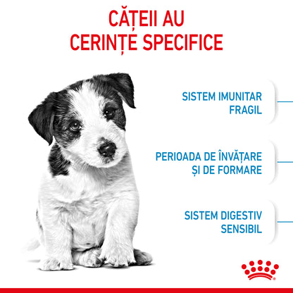 ROYAL CANIN SHN Mini PUPPY