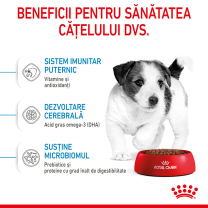 ROYAL CANIN SHN Mini PUPPY