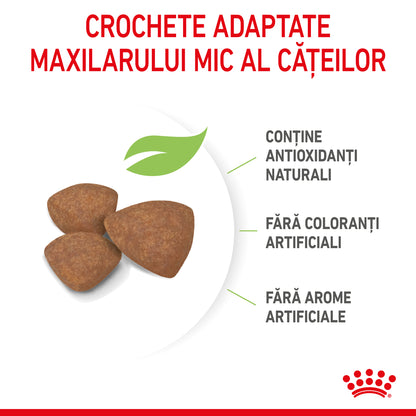 ROYAL CANIN SHN Mini PUPPY