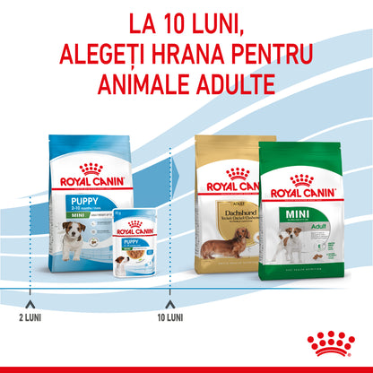ROYAL CANIN SHN Mini PUPPY