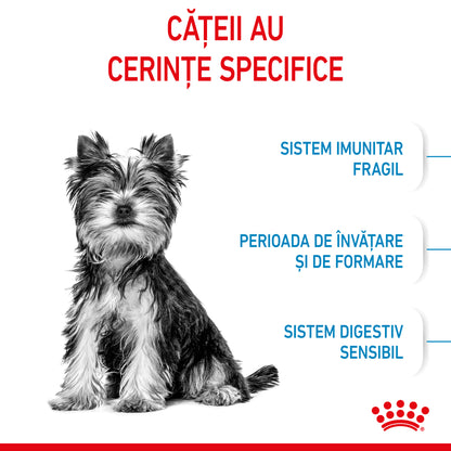 ROYAL CANIN SHN X-Small PUPPY