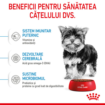 ROYAL CANIN SHN X-Small PUPPY