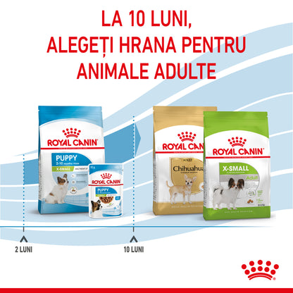 ROYAL CANIN SHN X-Small PUPPY