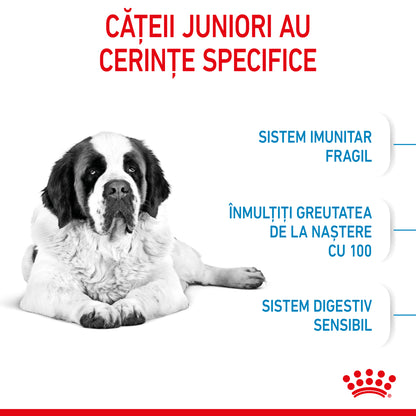 ROYAL CANIN SHN Giant JUNIOR (vârsta între 8 şi 18/24 luni)