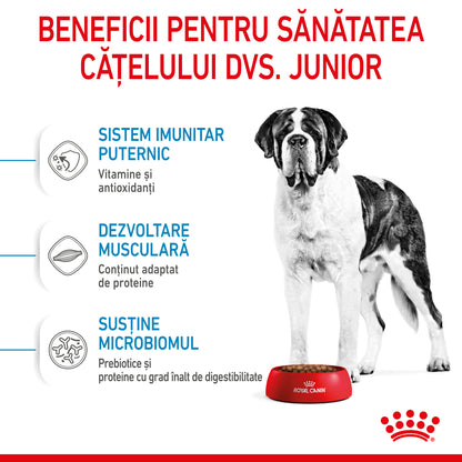ROYAL CANIN SHN Giant JUNIOR (vârsta între 8 şi 18/24 luni)