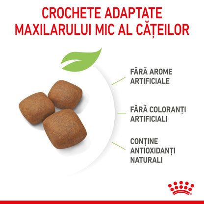 ROYAL CANIN SHN Giant JUNIOR (vârsta între 8 şi 18/24 luni)