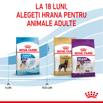 ROYAL CANIN SHN Giant JUNIOR (vârsta între 8 şi 18/24 luni)