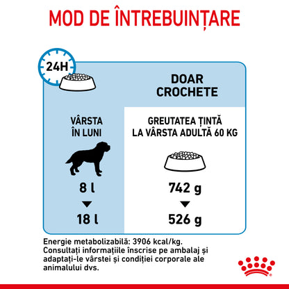 ROYAL CANIN SHN Giant JUNIOR (vârsta între 8 şi 18/24 luni)