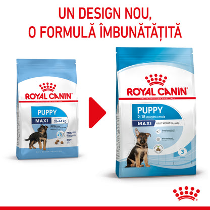 ROYAL CANIN SHN Maxi PUPPY (vârsta până la 15 luni)