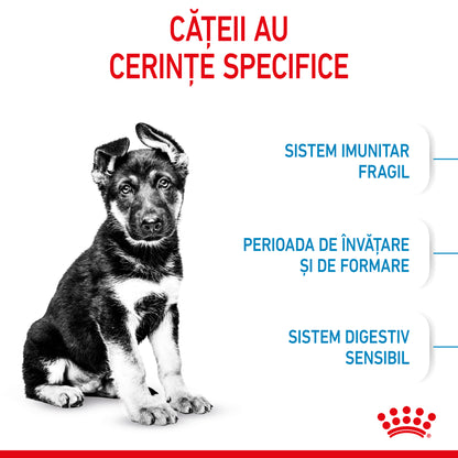 ROYAL CANIN SHN Maxi PUPPY (vârsta până la 15 luni)