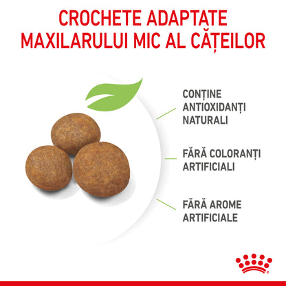 ROYAL CANIN SHN Maxi PUPPY (vârsta până la 15 luni)