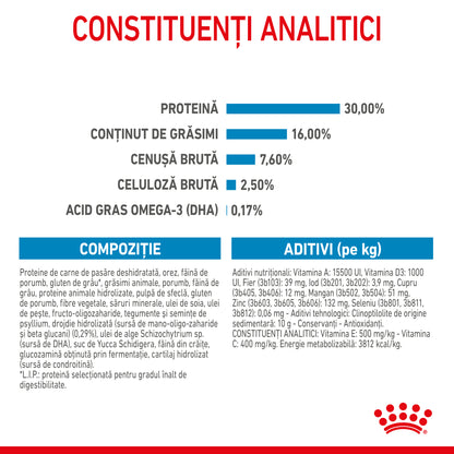 ROYAL CANIN SHN Maxi PUPPY (vârsta până la 15 luni)