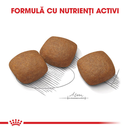 ROYAL CANIN CCN Maxi Joint Care 10kg