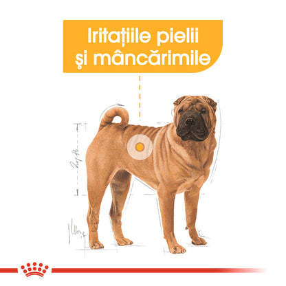 ROYAL CANIN CCN Medium Dermacomfort