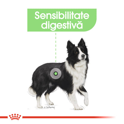 ROYAL CANIN CCN MEDIUM DIGESTIVE CARE 3kg