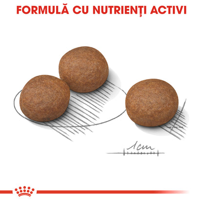 ROYAL CANIN CCN MEDIUM DIGESTIVE CARE 3kg