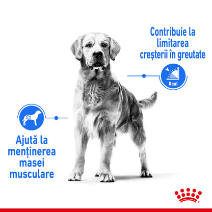 ROYAL CANIN CCN Medium Light Weight Care