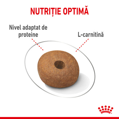 ROYAL CANIN CCN Medium Light Weight Care