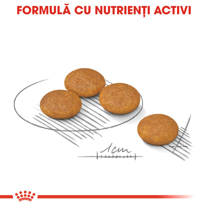 ROYAL CANIN CCN Mini Dermacomfort