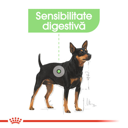 ROYAL CANIN CCN Mini Digestive Care