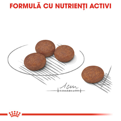 ROYAL CANIN CCN Mini Digestive Care