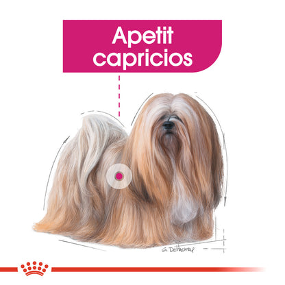 ROYAL CANIN CCN Mini Exigent