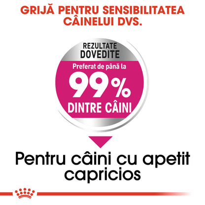 ROYAL CANIN CCN Mini Exigent